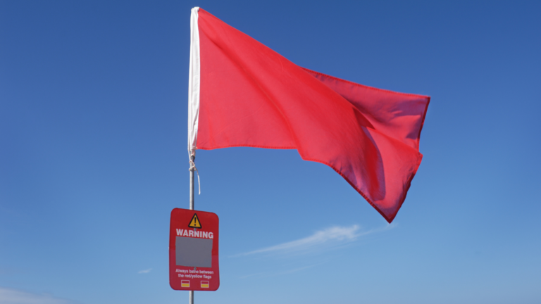 red flags for a tax audit
